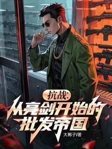 抗战从亮剑开始无锐