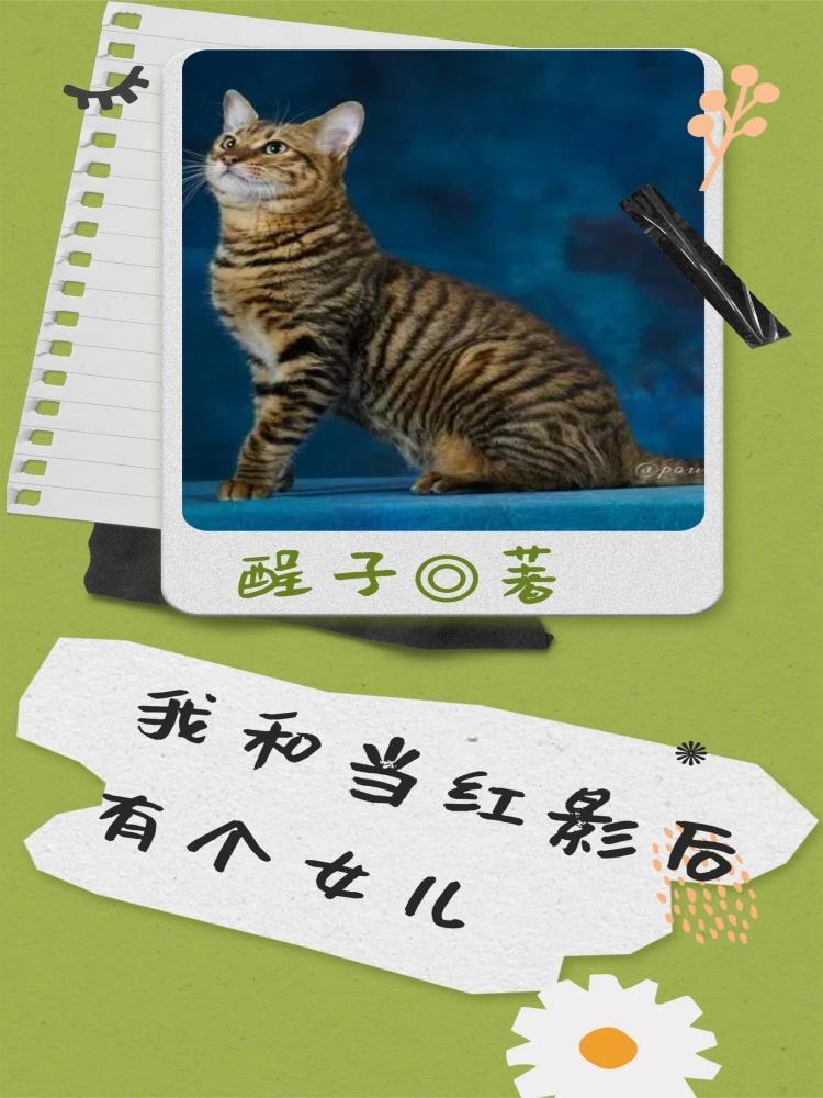 和影后cp后我爆红了