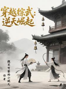 穿越综武世界做大佬免费阅读