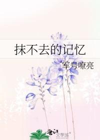 抹不去的回忆300字