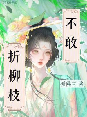 折柳枝的寓意