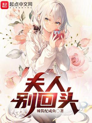夫人别嫁了