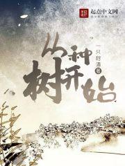 从种树开始 从种树开始